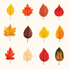 fall leaves clip art