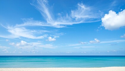 南国の青い海とヤシの木 / 夏空広がるビーチリゾート / 透き通る海と白い砂浜