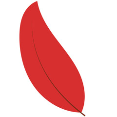 Autumn Leaves Vector