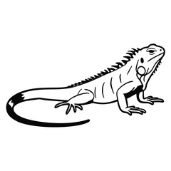 Outline of an iguana exhibits a sharp spine and a robust, dark tail