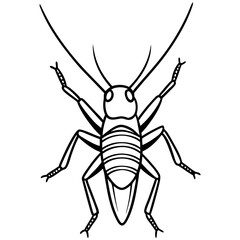 Cricket Illustration on White Background A detailed vector graphic of a cricket insect ideal for nature sports or educational designs