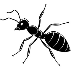Simple ant illustration on a clean white background created with vector design software suitable for various design projects and educational