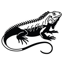 Silhouette shows a green iguana lizard with its distinctive dorsal spines standing out against white