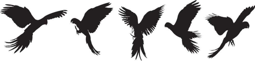 Parrot Silhouettes, Flying Birds, Vector Illustration.