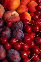 Fresh cherries, plums, peaches and apricots creating a colorful summer fruit composition