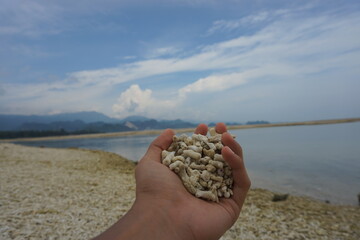 the sand in your hands on a beautiful beach