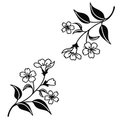 Two simple black flower branches gracefully illustrate nature's understated beauty on a white backdrop