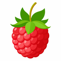 Single red raspberry illustration with vibrant green leaves showcasing a fresh and juicy berry on a clean background ideal for
