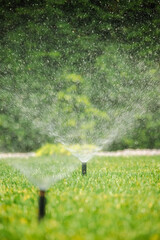 Automatic sprinkler head spraying water on a vibrant green lawn during sunny weather, used for...