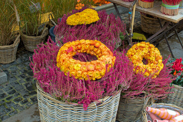 These vibrant arrangements in wicker baskets showcase the beauty of fall with purple, orange and yellow blooms. Heather plants create a textured backdrop for the chrysanthemum circle arrangements.