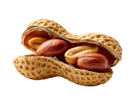 Opened Peanut Close-up: A macro shot reveals the natural texture and color of a split peanut pod, showcasing the wholesome, edible nuts within.