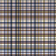 Color Scotland textile seamless pattern. Fabric texture check tartan plaid. Abstract geometric background for cloth, card, fabric. Monochrome graphic repeating design. Modern squared ornament.