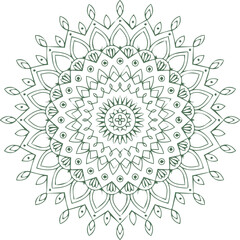 Beautiful flower art and mandala vector design