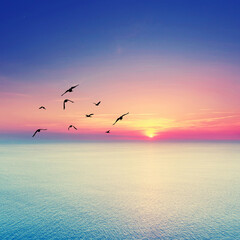 beautiful Endless Mediterranean Beach at Sunrise with Vibrant Summer Colors and Birds Soaring Above the Horizon