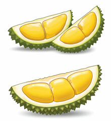 Fresh Durian Fruit Pods Isolated

