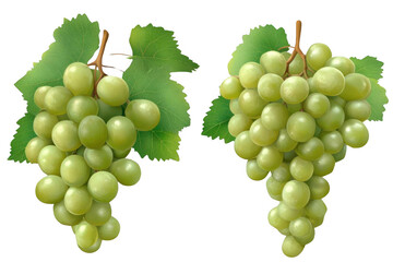 Obraz premium Green Grapes, A fresh Bunch Ready to Eat with Healthy Bites