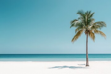 Fototapeta premium Tranquil beach scene with a solitary palm tree.