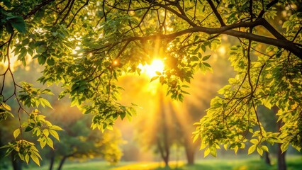 Soft golden light filtering through leafy branches as morning sun rises behind them