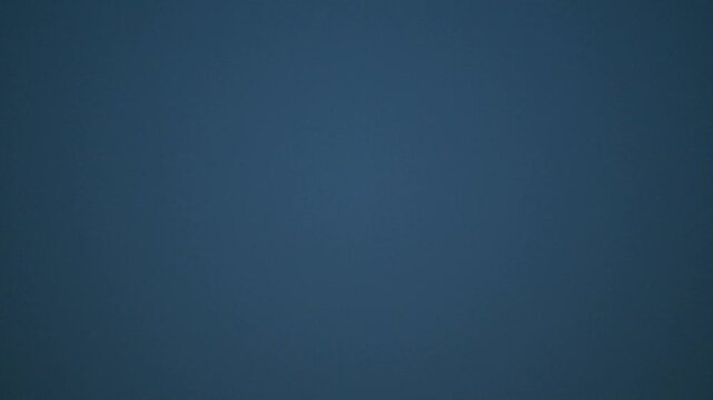 Short eared owl flying at dusk