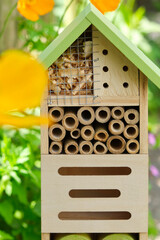 An insect hotel or bee hotel in a summer garden with orange flowers. An insect hotel is a manmade structure created to provide shelter for insects in a variety of shapes and sizes and materials.	