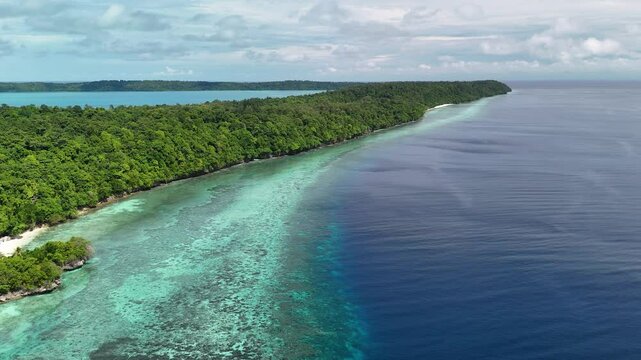Tropical island coastline meeting deep blue ocean water
