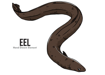 Obraz premium vector illustration of a eel