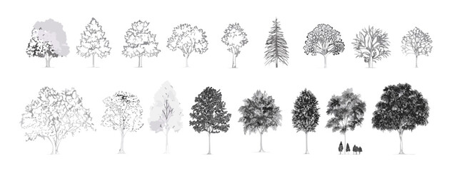 Cad tree elements, minimal outline drawing of oak and tropical trees, landscape design symbol set, architecture foliage vector illustration, nature garden, botanical outdoor planning.