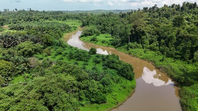 Meandering river flows through lush tropical rainforest