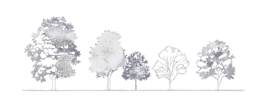 Cad tree elevation line, outline graphics set, minimal tropical tree symbol, architecture side view design, vector illustration, foliage elements, architectural planning, white stroke.