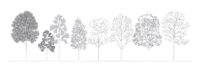 Cad tree line drawing in minimal style, architecture pattern, outline symbol, landscaping graphic set, white stroke fill, vector illustration, forest elements, nature theme. © aura studio