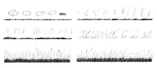 Grass side section, architectural lawn element, vector illustration, ground cover banner, minimal turf edge, cad drawing isolated on white, landscaping concept, edging design, png.