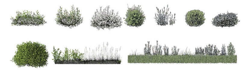 Vector illustration of shrubs set, ground cover minimal line cad, elevation view, turf banners, grass edging, garden divider, foliage contour, architectural section, plant base. © aura studio
