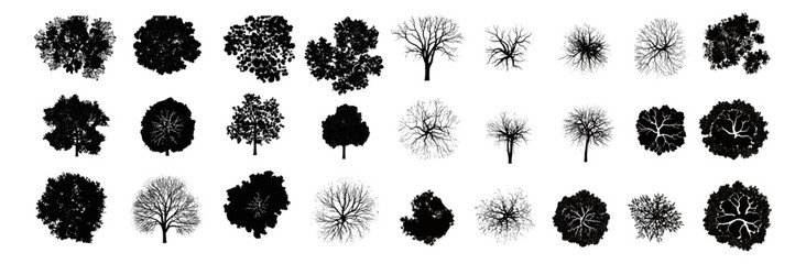vector tree top view, silhouette, architecture layout drawing, isolated on white background, garden, environment, landscape plan, cutout, vector illustration, mapping, urban design. © aura studio