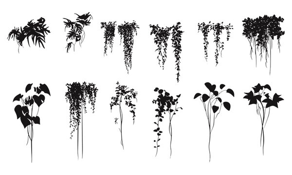 Side view plant silhouettes, outline trees set, tropical vines drawing, landscape design element, architecture foliage symbol, vector illustration, greenery icon, png.