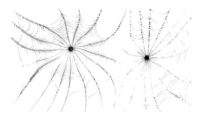 Obraz premium spider web element, holloween stripple art, line texture, background drawing, dot design, interior graphic set, vector illustration, spooky pattern, haunted decor, png.