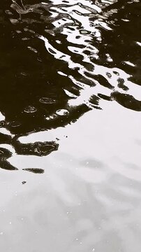 Calm Water Reflection &ndash; Peaceful Surface Movement for Background Use