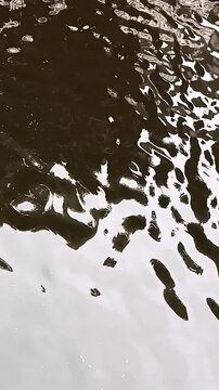 Calm Water Reflection &ndash; Peaceful Surface Movement for Background Use
