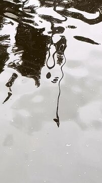Calm Water Reflection &ndash; Peaceful Surface Movement for Background Use