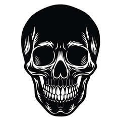 Stylized anatomical human skull vector illustration
