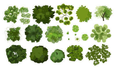 Vector illustration, tree top view, garden layout, isolated foliage, landscape architecture, white background, cad drawing, site plan, vegetation, terrain mapping, environmental, cutout.
