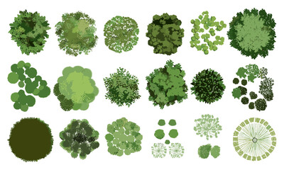 Tree top view vector, isolated on white background, cad design, landscape layout, garden plan, foliage vector illustration, environment elements, architectural site map, cutout.