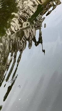 Calm Water Reflection &ndash; Peaceful Surface Movement for Background Use