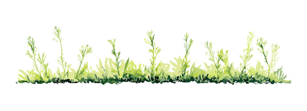 Side view watercolor bush and grass bander, vector illustration for garden layout, architecture plan, section design, elevation element, environment, landscape, png.