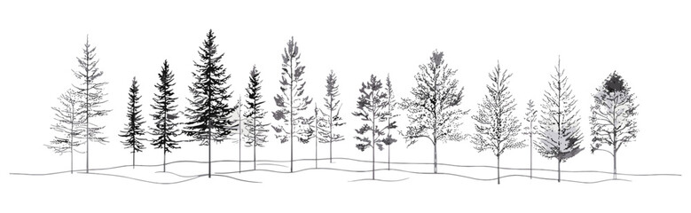 Fototapeta premium Architectural line art, CAD minimal tree and wetland forest section outline, landscape planning, sustainable site design, visualisation, vector illustration, cutout.