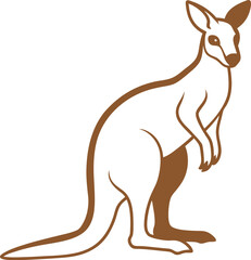 kangaroo vector illustration