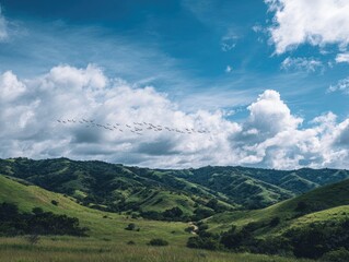 A flock of birds flies in formation over rolling green hills under a partly cloudy blue sky