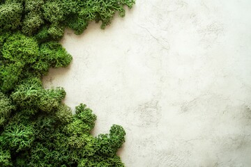 Arrangement of vibrant green moss against a textured backdrop.