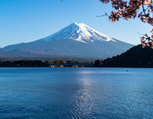 Mount Fuji majestically towers over a tranquil lake, framed by cherry blossoms, under a clear blue sky, creating a serene and picturesque landscape.