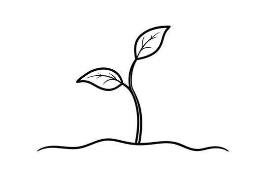 Continuous single line drawing of a small sprout plant illustration isolated on transparent background