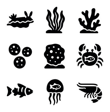 Marine Symbiosis Icons. Solid, filled icons set of marine symbiosis: sea slug, algae, coral, zooxanthellae,